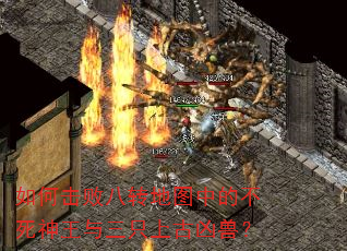 如何击败八转地图中的不死神王与三只上古凶兽? 如何击败八转地图中的不死神王与三只上古凶兽?