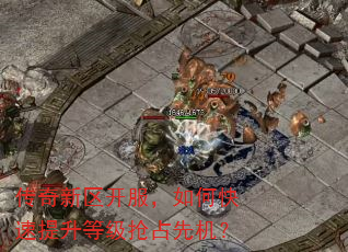 传奇新区开服,如何快速提升等级抢占先机? 传奇新区开服,如何快速提升等级抢占先机?