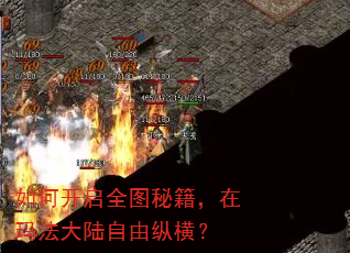如何开启全图秘籍,在玛法大陆自由纵横? 如何开启全图秘籍,在玛法大陆自由纵横?