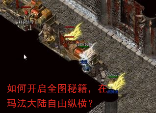 如何开启全图秘籍,在玛法大陆自由纵横? 如何开启全图秘籍,在玛法大陆自由纵横?