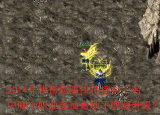 2014年传奇私服排行榜前十名中哪个职业最适合新手快速升级? 2014年传奇私服排行榜前十名中哪个职业最适合新手快速升级?