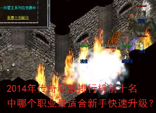 2014年传奇私服排行榜前十名中哪个职业最适合新手快速升级? 2014年传奇私服排行榜前十名中哪个职业最适合新手快速升级?