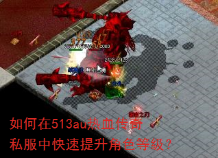 如何在513au热血传奇私服中快速提升角色等级? 如何在513au热血传奇私服中快速提升角色等级?
