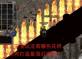 道士宝宝玩法有哪些花样?如何打造最强召唤兽? 道士宝宝玩法有哪些花样?如何打造最强召唤兽?