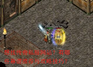 想找传奇私服网站?有哪些靠谱推荐与攻略技巧? 想找传奇私服网站?有哪些靠谱推荐与攻略技巧?