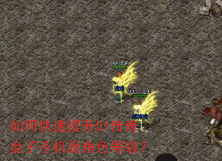 如何快速提升51传奇盒子手机版角色等级? 如何快速提升51传奇盒子手机版角色等级?