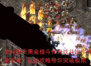 单身职业黄金格斗传奇战斗比你想象更难?这份攻略带你突破极限 单身职业黄金格斗传奇战斗比你想象更难?这份攻略带你突破极限