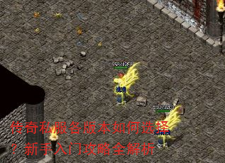 ����˽�����汾���ѡ���������Ź���ȫ����