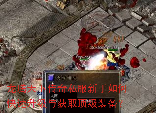 龙腾天下传奇私服新手如何快速升级与获取顶级装备? 龙腾天下传奇私服新手如何快速升级与获取顶级装备?