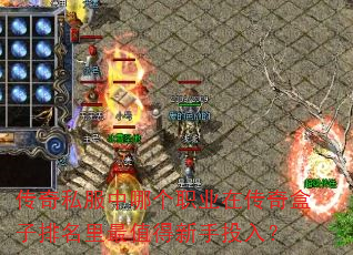 ����˽�����ĸ�ְҵ�ڴ��������������ֵ������Ͷ�룿