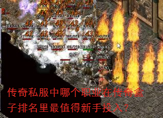 ����˽�����ĸ�ְҵ�ڴ��������������ֵ������Ͷ�룿