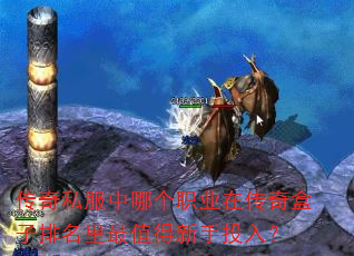 ����˽�����ĸ�ְҵ�ڴ��������������ֵ������Ͷ�룿