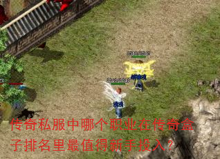 ����˽�����ĸ�ְҵ�ڴ��������������ֵ������Ͷ�룿