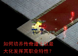如何培养传奇道士以最大化发挥其职业特性? 如何培养传奇道士以最大化发挥其职业特性?