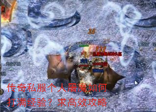 传奇私服个人屠魔如何打满经验?求高效攻略 传奇私服个人屠魔如何打满经验?求高效攻略