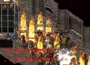 �¿���999����˽������ο�������ս����