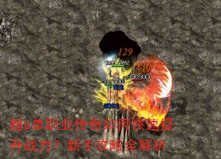 ��b��ְҵ������ο�������ս�������ֹ���ȫ����