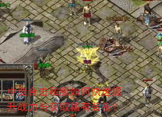 中变合击私服如何快速提升战力与获取稀有装备? 中变合击私服如何快速提升战力与获取稀有装备?