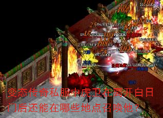变态传奇私服中虎卫在离开白日门后还能在哪些地点召唤他? 变态传奇私服中虎卫在离开白日门后还能在哪些地点召唤他?