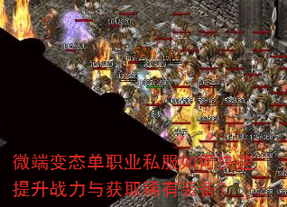 ΢�˱�̬��ְҵ˽����ο�������ս�����ȡϡ��װ����