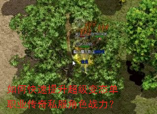 如何快速提升超级变态单职业传奇私服角色战力? 如何快速提升超级变态单职业传奇私服角色战力?
