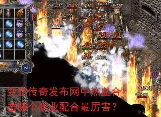 ��̬���淢��������Ѫ�ϻ��ĸ�ְҵ�����������