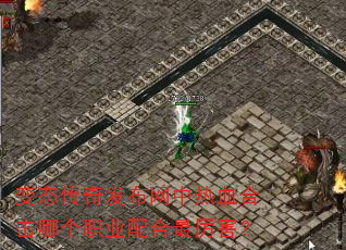 ��̬���淢��������Ѫ�ϻ��ĸ�ְҵ�����������