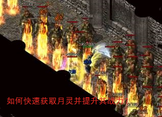 如何快速获取月灵并提升其战力? 如何快速获取月灵并提升其战力?