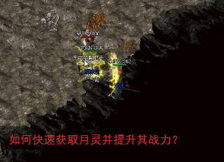 如何快速获取月灵并提升其战力? 如何快速获取月灵并提升其战力?
