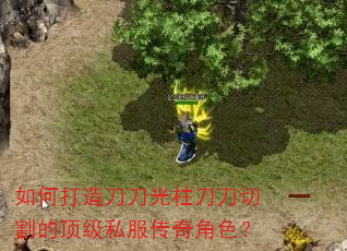 ��δ��쵶�����������и�Ķ���˽�������ɫ��
