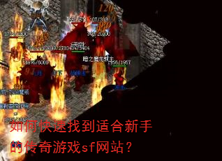 如何快速找到适合新手的传奇游戏sf网站? 如何快速找到适合新手的传奇游戏sf网站?