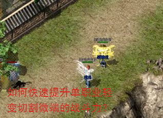 如何快速提升单职业轻变切割微端的战斗力? 如何快速提升单职业轻变切割微端的战斗力?