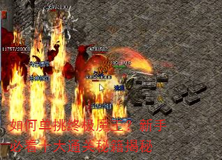 如何单挑终极魔王?新手必看十大通关秘籍揭秘 如何单挑终极魔王?新手必看十大通关秘籍揭秘