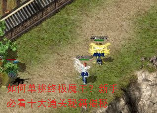 如何单挑终极魔王?新手必看十大通关秘籍揭秘 如何单挑终极魔王?新手必看十大通关秘籍揭秘