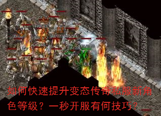 如何快速提升变态传奇私服新角色等级?一秒开服有何技巧? 如何快速提升变态传奇私服新角色等级?一秒开服有何技巧?
