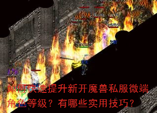 如何快速提升新开魔兽私服微端角色等级?有哪些实用技巧? 如何快速提升新开魔兽私服微端角色等级?有哪些实用技巧?