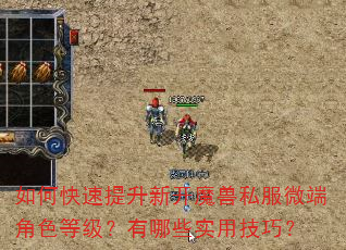 如何快速提升新开魔兽私服微端角色等级?有哪些实用技巧? 如何快速提升新开魔兽私服微端角色等级?有哪些实用技巧?