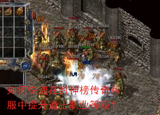 如何快速在封神榜传奇私服中提升道士职业等级? 如何快速在封神榜传奇私服中提升道士职业等级?