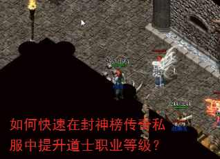 如何快速在封神榜传奇私服中提升道士职业等级? 如何快速在封神榜传奇私服中提升道士职业等级?