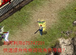 如何利用675747201快速提升传奇游戏角色等级? 如何利用675747201快速提升传奇游戏角色等级?