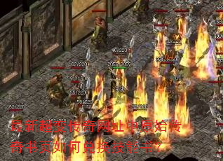 ���³��䴫����ַ��ԭʼ������ҳ��ζһ������飿