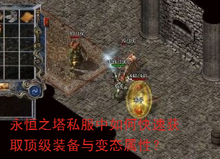 永恒之塔私服中如何快速获取顶级装备与变态属性? 永恒之塔私服中如何快速获取顶级装备与变态属性?