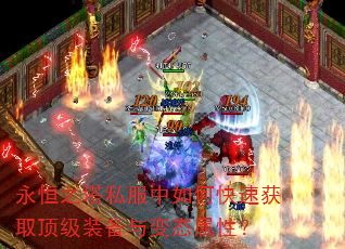 永恒之塔私服中如何快速获取顶级装备与变态属性? 永恒之塔私服中如何快速获取顶级装备与变态属性?