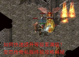 如何快速提升等级至满级?变态传奇私服终极攻略揭秘 如何快速提升等级至满级?变态传奇私服终极攻略揭秘