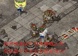 如何快速从1.76传奇散人天堂视频中学会安全回家技巧? 如何快速从1.76传奇散人天堂视频中学会安全回家技巧?