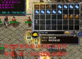 热血传奇私服当前版本是否值得入坑?新手攻略全解析 热血传奇私服当前版本是否值得入坑?新手攻略全解析