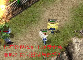 现在还能找到正版传奇私服吗?如何辨别与选择? 现在还能找到正版传奇私服吗?如何辨别与选择?