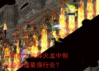 如何在大胖胖火龙中创建并管理最强行会? 如何在大胖胖火龙中创建并管理最强行会?
