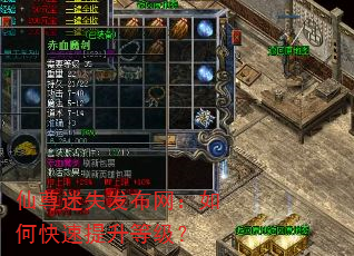 仙尊迷失发布网:如何快速提升等级? 仙尊迷失发布网:如何快速提升等级?