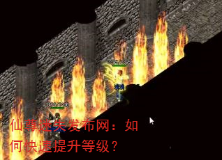 仙尊迷失发布网:如何快速提升等级? 仙尊迷失发布网:如何快速提升等级?